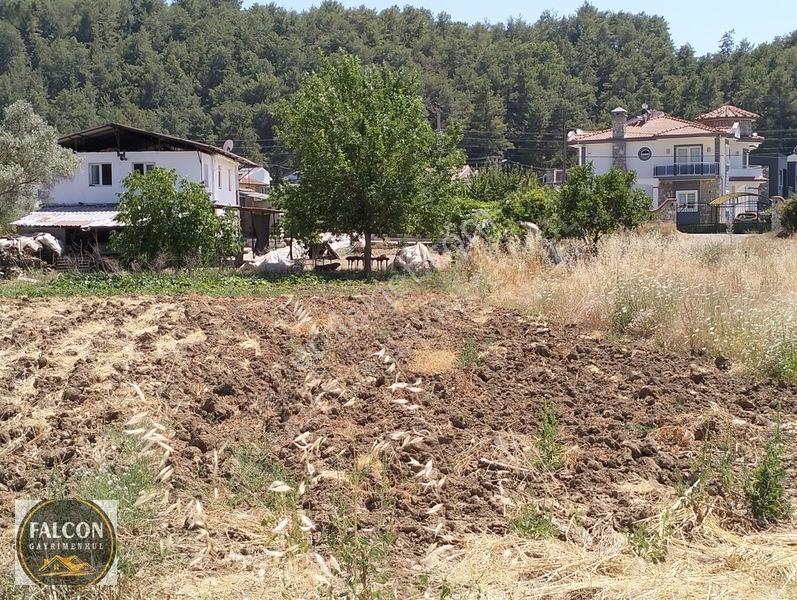 Falcon Dan Üzümlü De 648m² 20/40 İmarlı Fırsat Arsa — fotoğraf 14