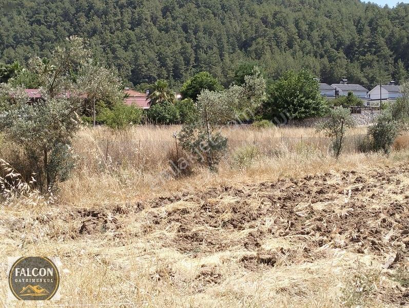Falcon Dan Üzümlü De 648m² 20/40 İmarlı Fırsat Arsa — fotoğraf 15