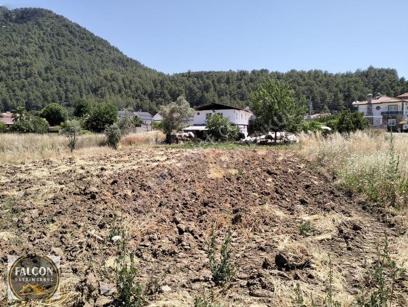 Falcon Dan Üzümlü De 648m² 20/40 İmarlı Fırsat Arsa — fotoğraf 19