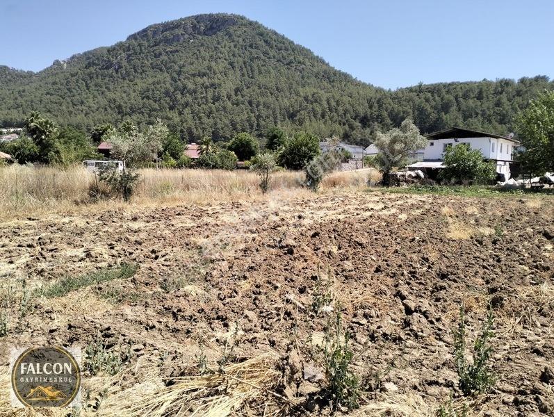 Falcon Dan Üzümlü De 648m² 20/40 İmarlı Fırsat Arsa — fotoğraf 20