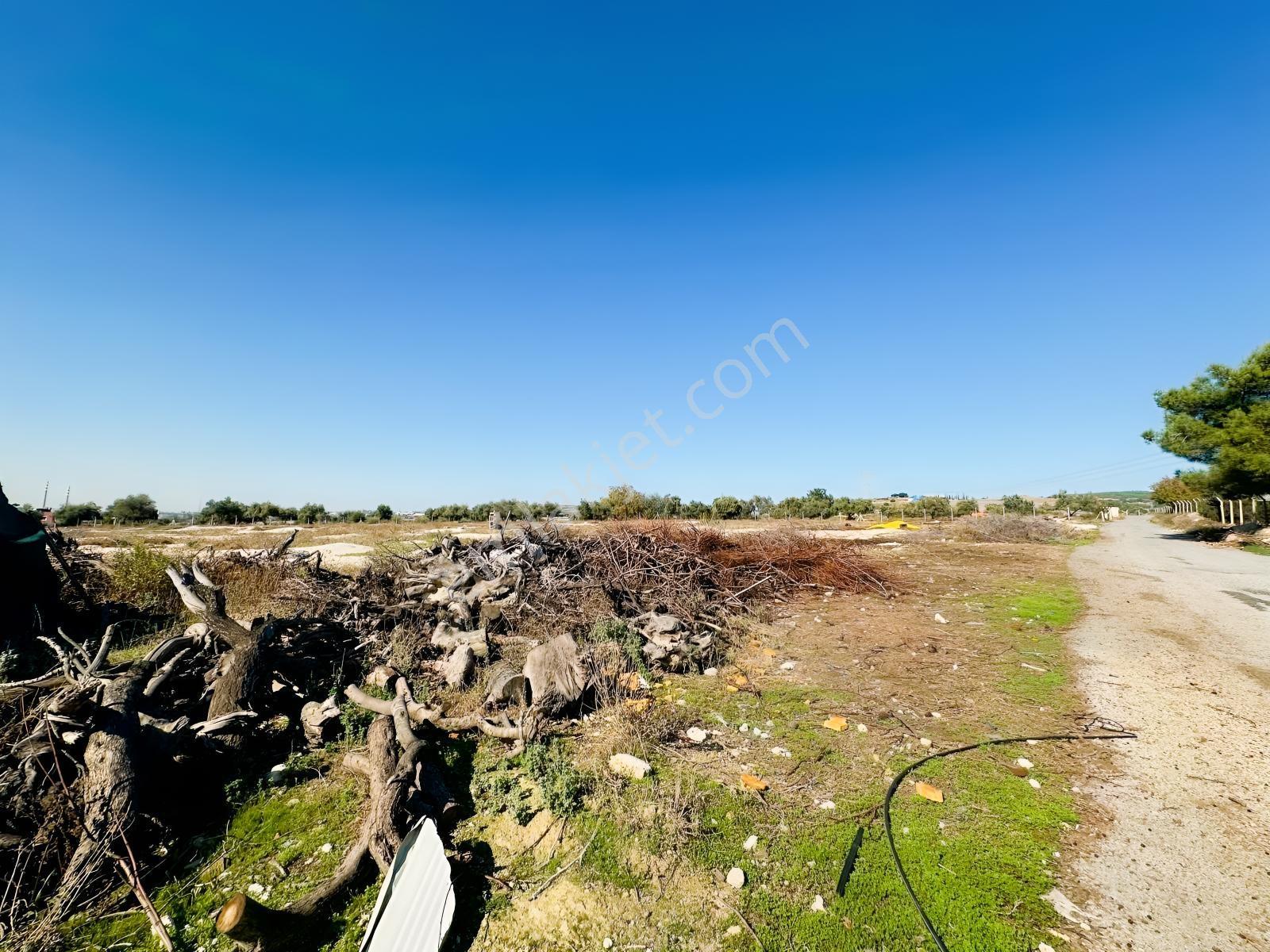 New Form'dan Akdeniz Bağlarbaşı'nda Satılık 10.372 M2 Tarla — fotoğraf 5