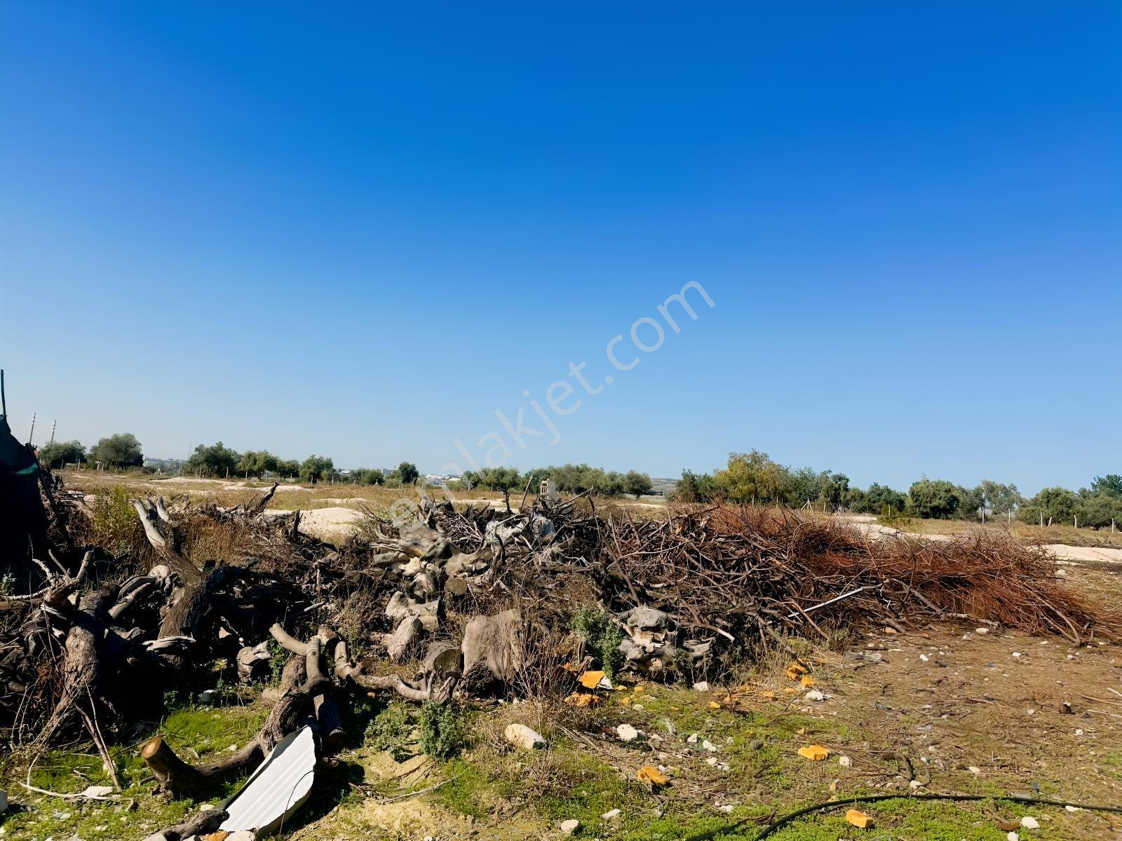 New Form'dan Akdeniz Bağlarbaşı'nda Satılık 10.372 M2 Tarla — fotoğraf 6