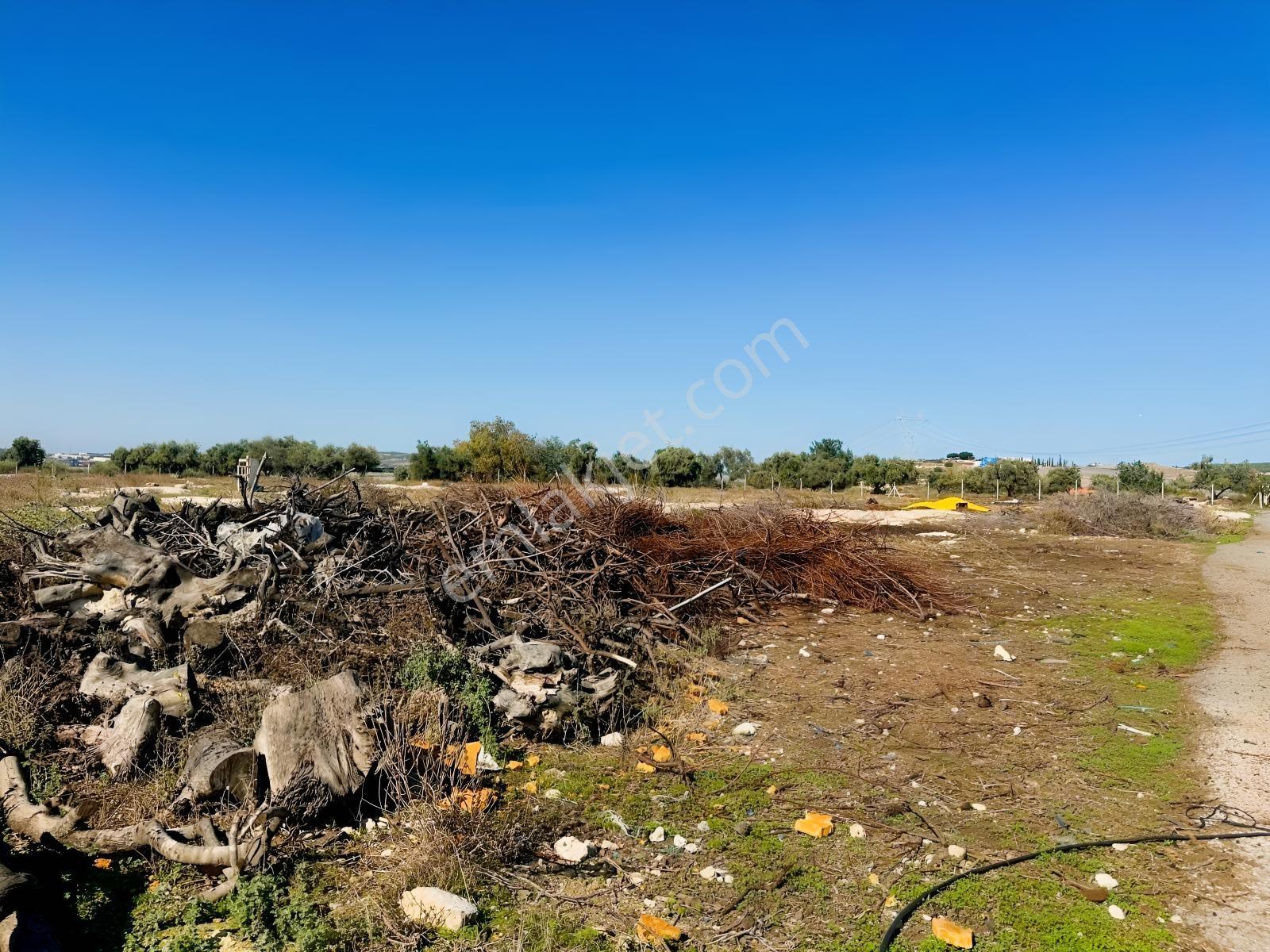 New Form'dan Akdeniz Bağlarbaşı'nda Satılık 10.372 M2 Tarla — fotoğraf 7