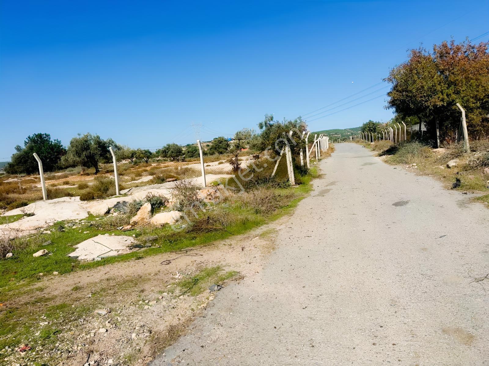 New Form'dan Akdeniz Bağlarbaşı'nda Satılık 10.372 M2 Tarla — fotoğraf 9