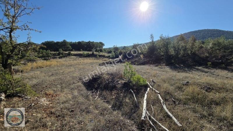 Muğla Menteşe Kozağaç Köyünde Satılık 18 Dönüm Tarla — fotoğraf 7