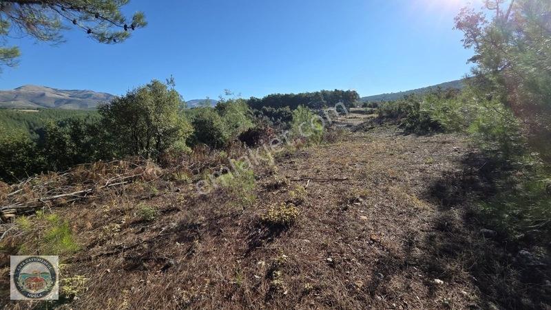 Muğla Menteşe Kozağaç Köyünde Satılık 18 Dönüm Tarla — fotoğraf 10