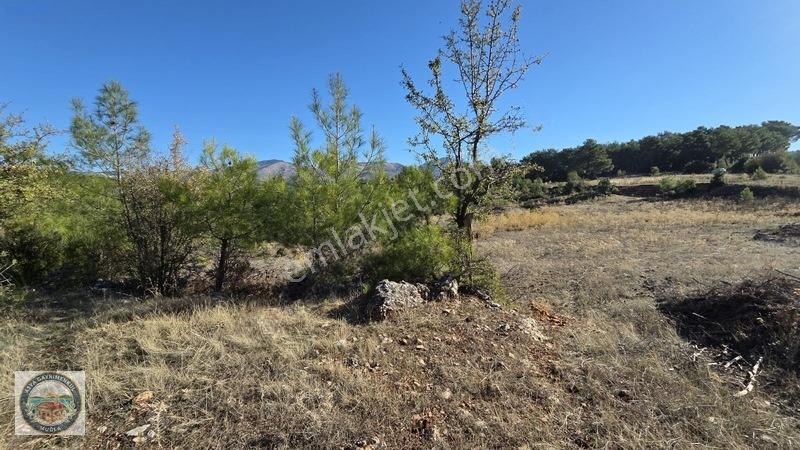 Muğla Menteşe Kozağaç Köyünde Satılık 18 Dönüm Tarla — fotoğraf 11