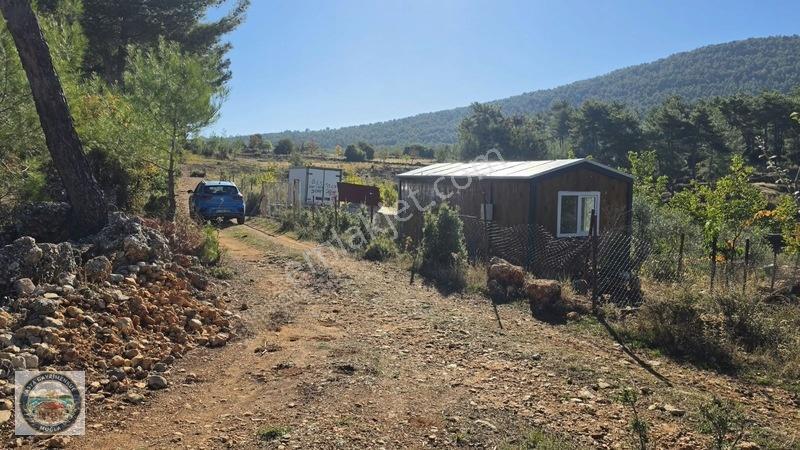 Muğla Menteşe Kozağaç Köyünde Satılık 18 Dönüm Tarla — fotoğraf 12