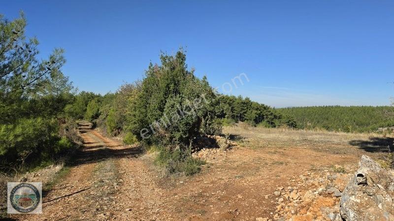 Muğla Menteşe Kozağaç Köyünde Satılık 18 Dönüm Tarla — fotoğraf 13