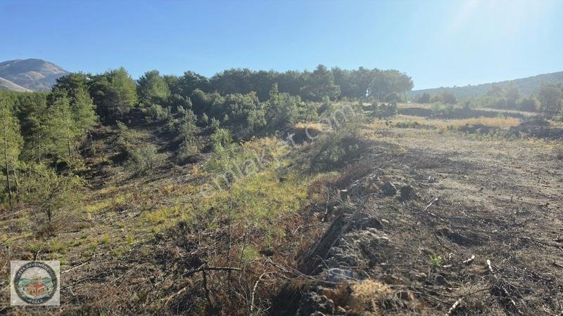 Muğla Menteşe Kozağaç Köyünde Satılık 18 Dönüm Tarla — fotoğraf 15