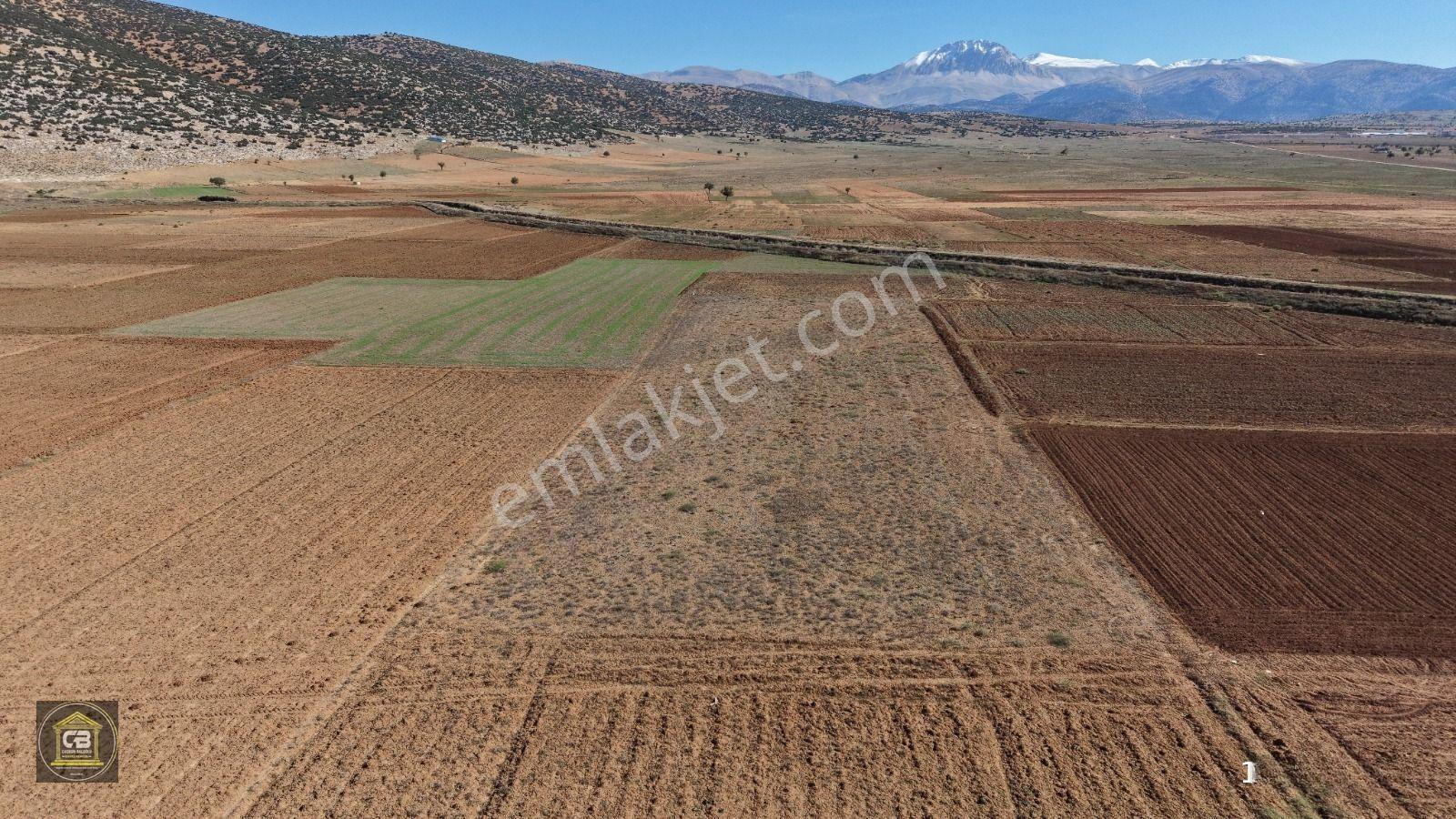 Baloğlu Gayrimenkul'den Bozhühük Mah. 4.194m² Satılık Arazi — fotoğraf 22