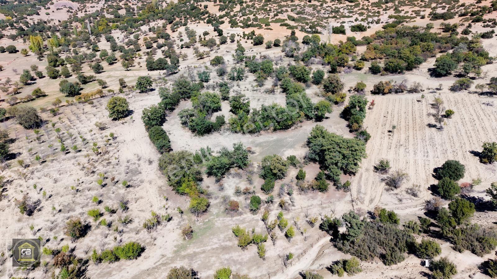 Baloğlu Gayrimenkul'den Kışla Mahallesinde 2.100m² Satılık Arazi — fotoğraf 13