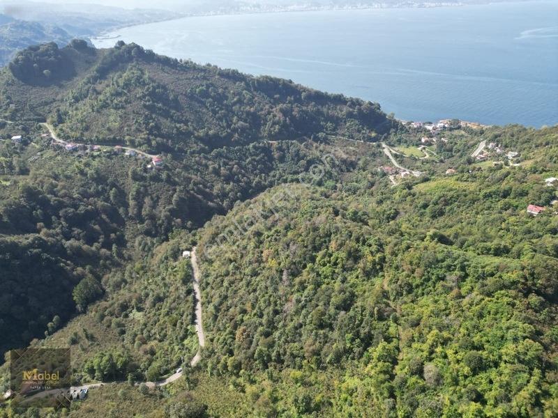 Perşembe Kazancılı Belice Plajına 4Dakika Mesafede 2.695M2 Arsa