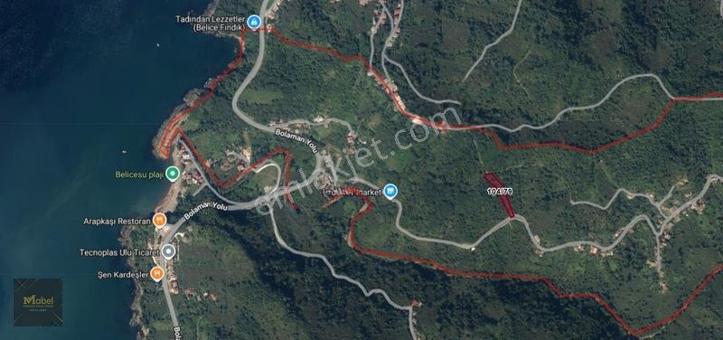 Perşembe Kazancılı Belice Plajına 4dakika Mesafede 2.695m2 Arsa — fotoğraf 2