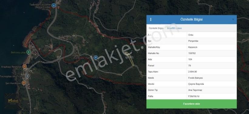 Perşembe Kazancılı Belice Plajına 4dakika Mesafede 2.695m2 Arsa — fotoğraf 3