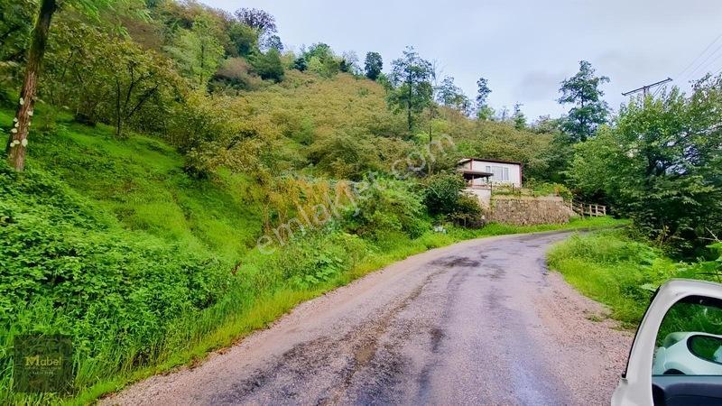 Perşembe Kazancılı Belice Plajına 4dakika Mesafede 2.695m2 Arsa — fotoğraf 4