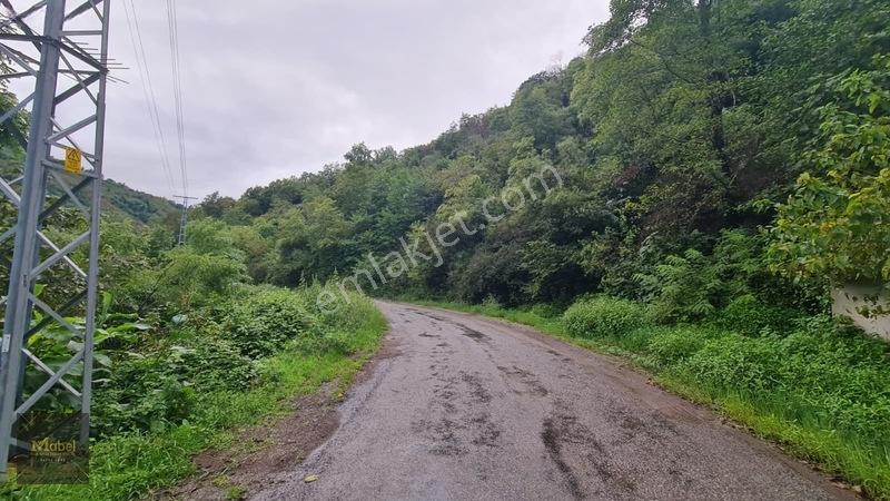 Perşembe Kazancılı Belice Plajına 4dakika Mesafede 2.695m2 Arsa — fotoğraf 5