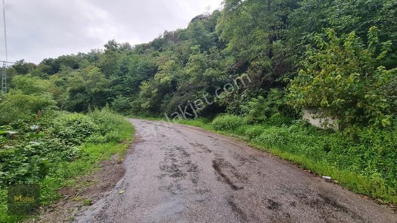 Perşembe Kazancılı Belice Plajına 4dakika Mesafede 2.695m2 Arsa — fotoğraf 8