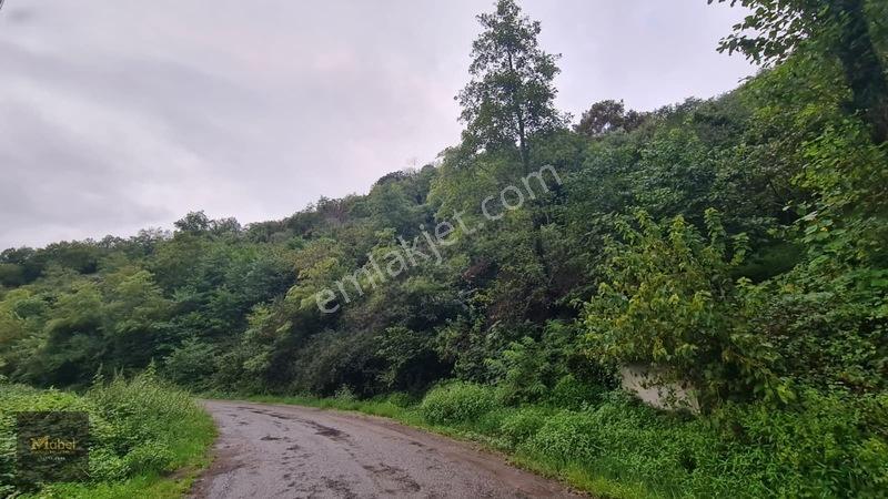 Perşembe Kazancılı Belice Plajına 4dakika Mesafede 2.695m2 Arsa — fotoğraf 9