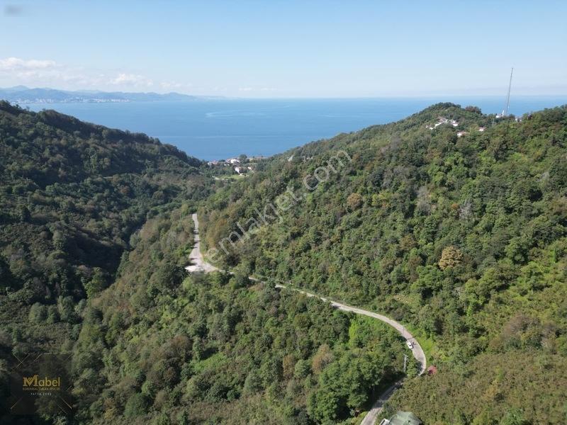 Perşembe Kazancılı Belice Plajına 4dakika Mesafede 2.695m2 Arsa — fotoğraf 11