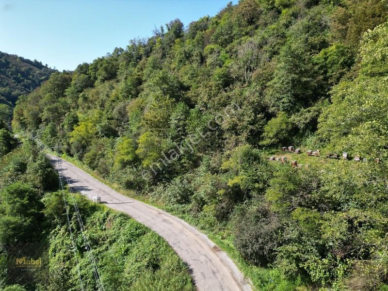 Perşembe Kazancılı Belice Plajına 4dakika Mesafede 2.695m2 Arsa — fotoğraf 12