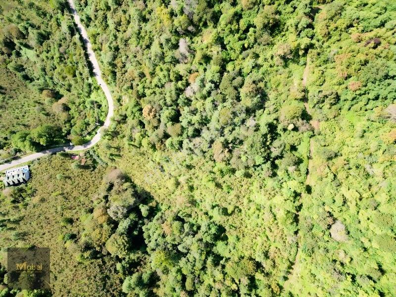 Perşembe Kazancılı Belice Plajına 4dakika Mesafede 2.695m2 Arsa — fotoğraf 13