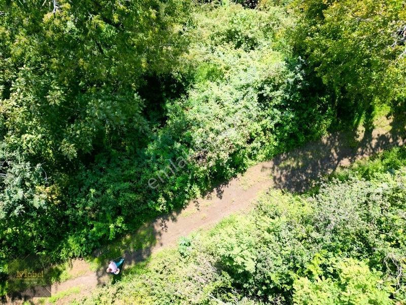 Perşembe Kazancılı Belice Plajına 4dakika Mesafede 2.695m2 Arsa — fotoğraf 14