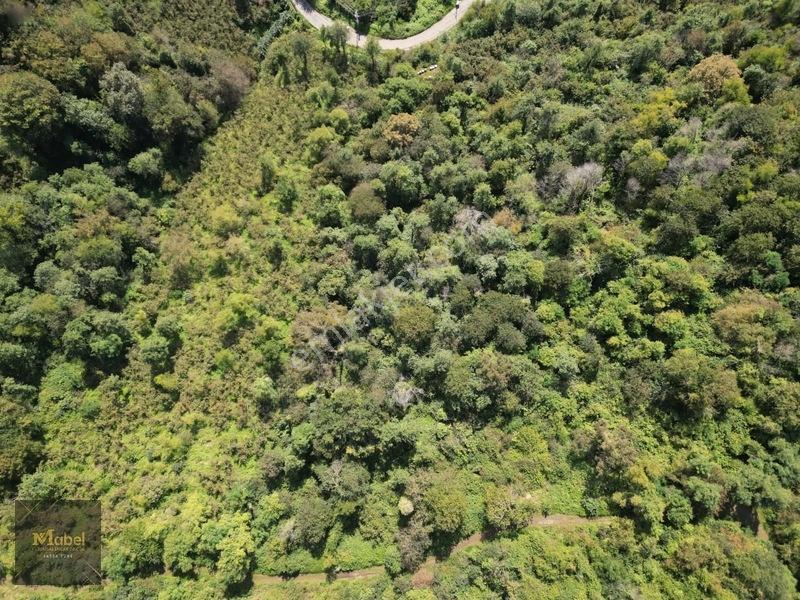 Perşembe Kazancılı Belice Plajına 4dakika Mesafede 2.695m2 Arsa — fotoğraf 15