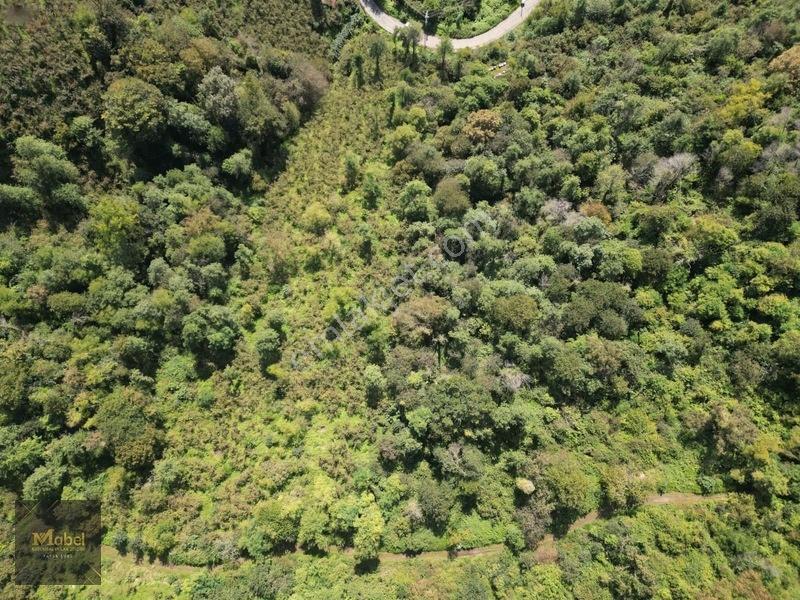 Perşembe Kazancılı Belice Plajına 4dakika Mesafede 2.695m2 Arsa — fotoğraf 17