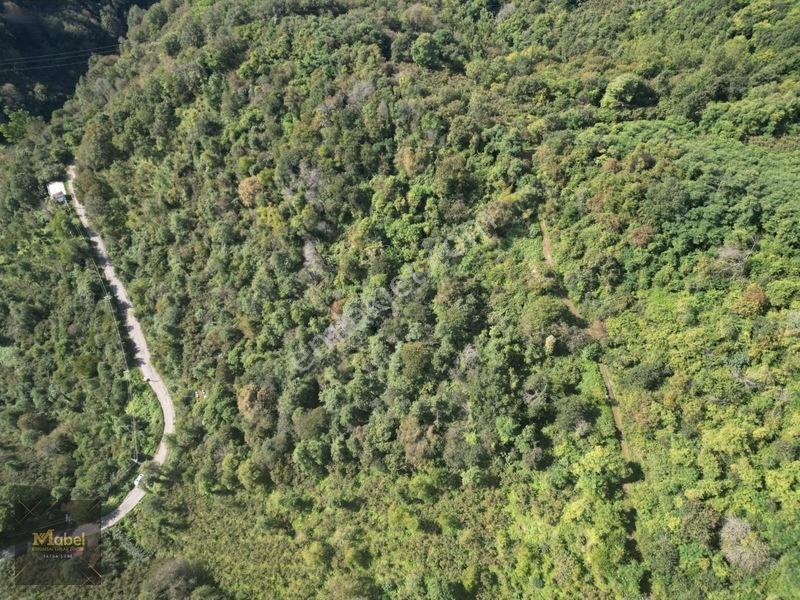 Perşembe Kazancılı Belice Plajına 4dakika Mesafede 2.695m2 Arsa — fotoğraf 18