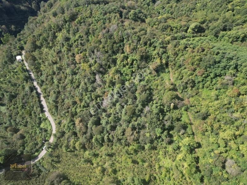 Perşembe Kazancılı Belice Plajına 4dakika Mesafede 2.695m2 Arsa — fotoğraf 19