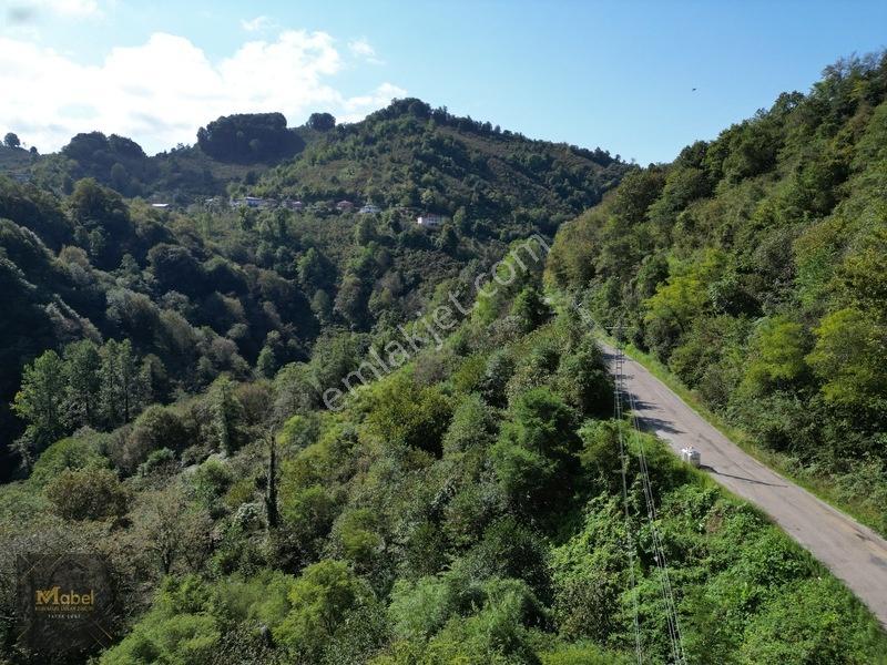 Perşembe Kazancılı Belice Plajına 4dakika Mesafede 2.695m2 Arsa — fotoğraf 22