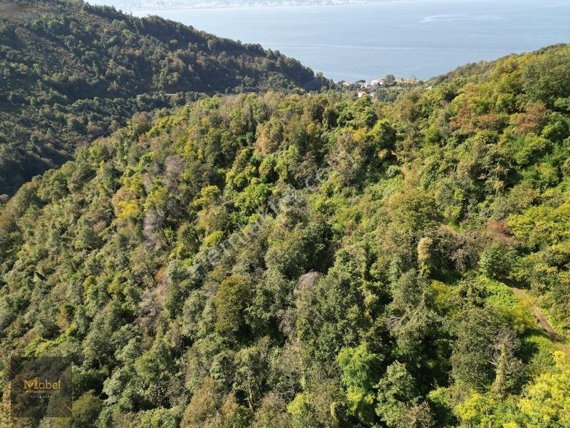 Perşembe Kazancılı Belice Plajına 4dakika Mesafede 2.695m2 Arsa — fotoğraf 23