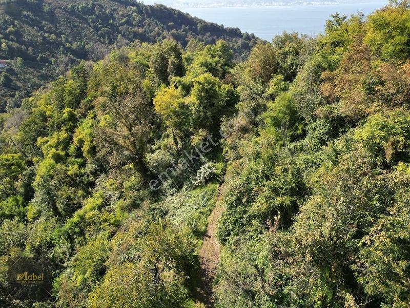 Perşembe Kazancılı Belice Plajına 4dakika Mesafede 2.695m2 Arsa — fotoğraf 24