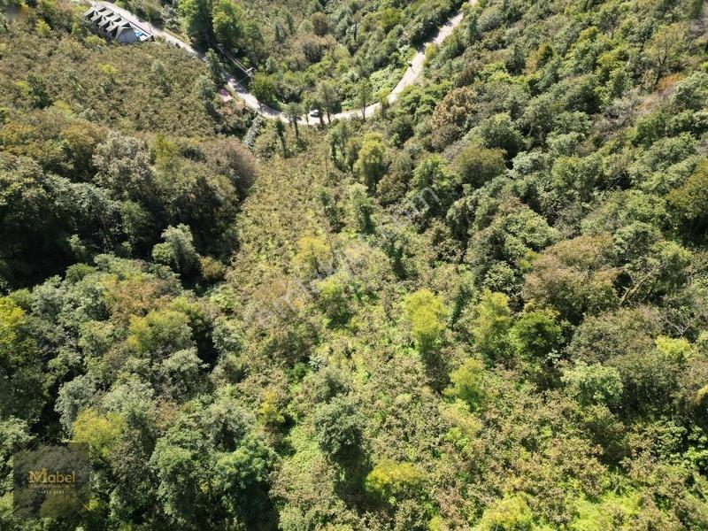 Perşembe Kazancılı Belice Plajına 4dakika Mesafede 2.695m2 Arsa — fotoğraf 25