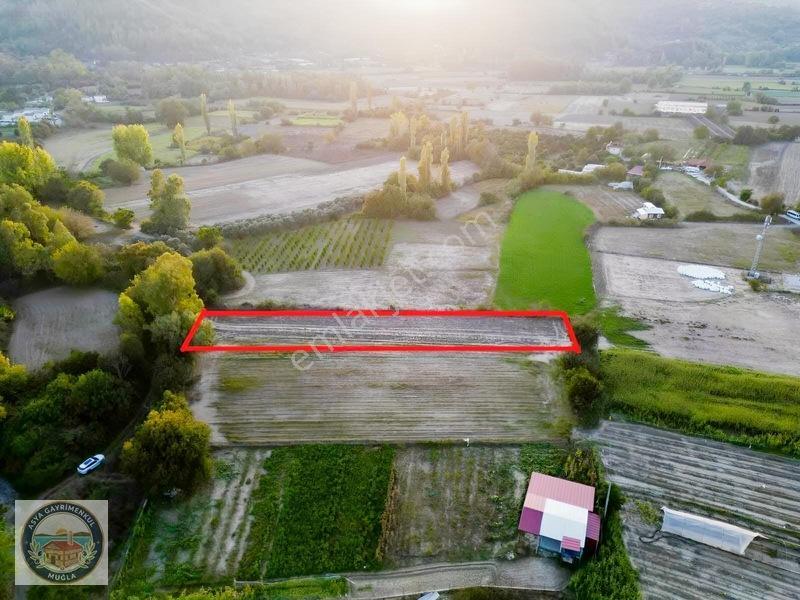 Köy Yerleşik Alana Çok Yakın Tarla — fotoğraf 5