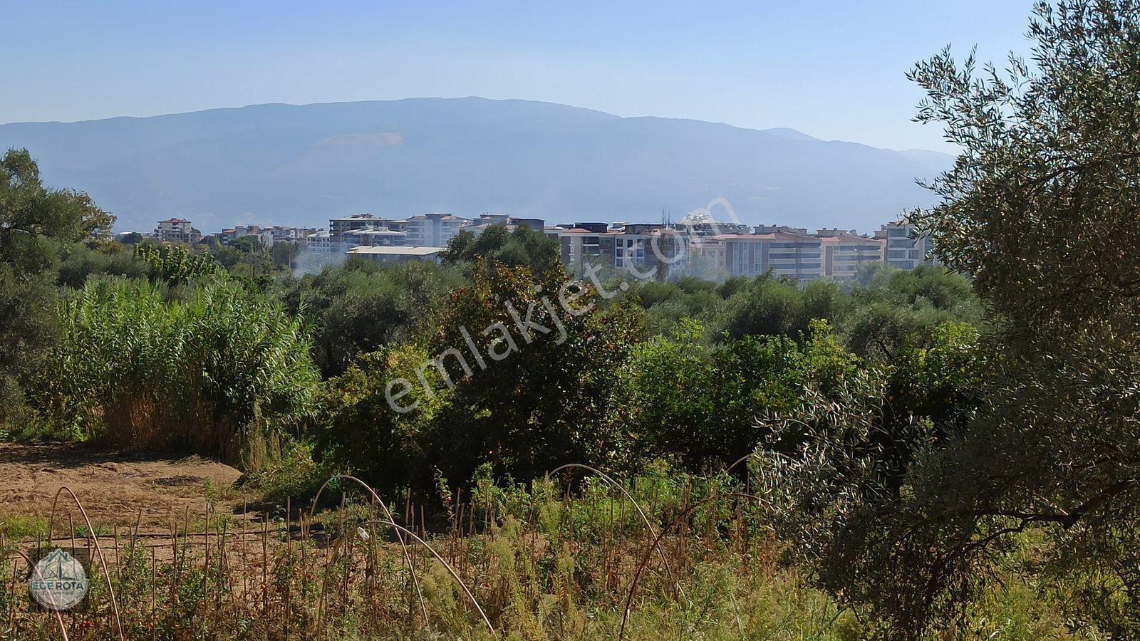 Nazilli - Bozyurt'ta, İmara Yakın, Satılık 16 Dönüm Bahçe — fotoğraf 16