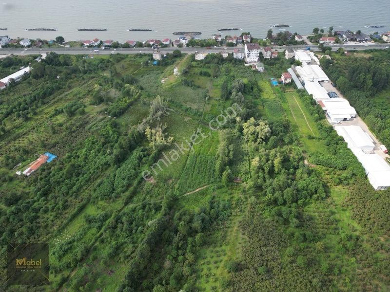 Ordu Fatsa Yenipazarda 3 Kat Konut İmarlı Villalık 460 M2 Arsa — fotoğraf 3