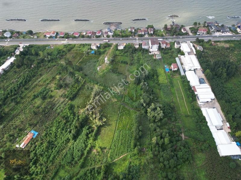 Ordu Fatsa Yenipazarda 3 Kat Konut İmarlı Villalık 460 M2 Arsa — fotoğraf 5