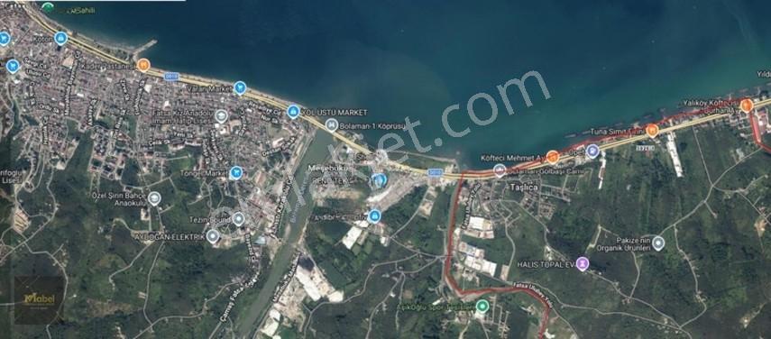 Ordu Fatsa Yenipazarda 3 Kat Konut İmarlı Villalık 460 M2 Arsa — fotoğraf 6