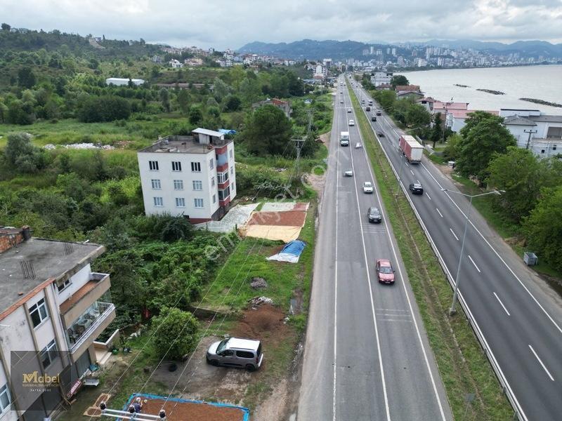 Ordu Fatsa Yenipazarda 3 Kat Konut İmarlı Villalık 460 M2 Arsa — fotoğraf 7