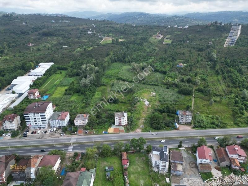 Ordu Fatsa Yenipazarda 3 Kat Konut İmarlı Villalık 460 M2 Arsa — fotoğraf 9