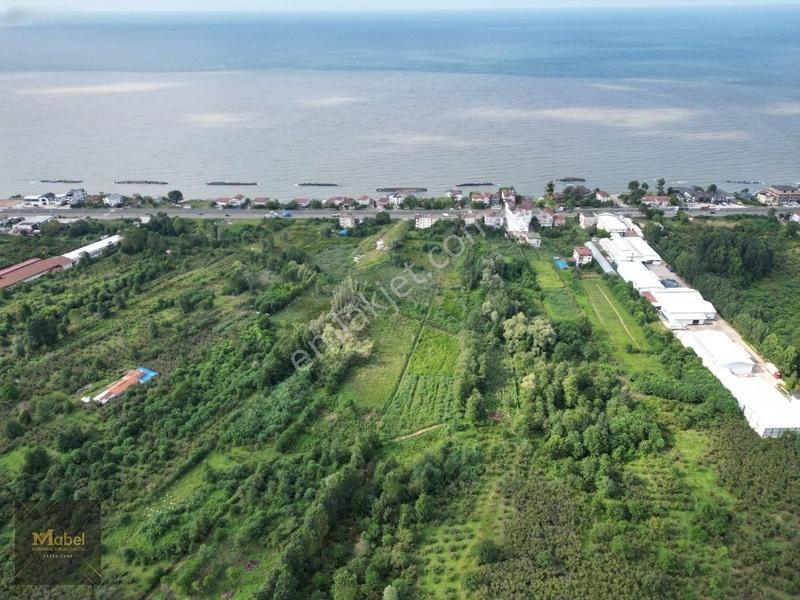 Ordu Fatsa Yenipazarda 3 Kat Konut İmarlı Villalık 460 M2 Arsa — fotoğraf 10