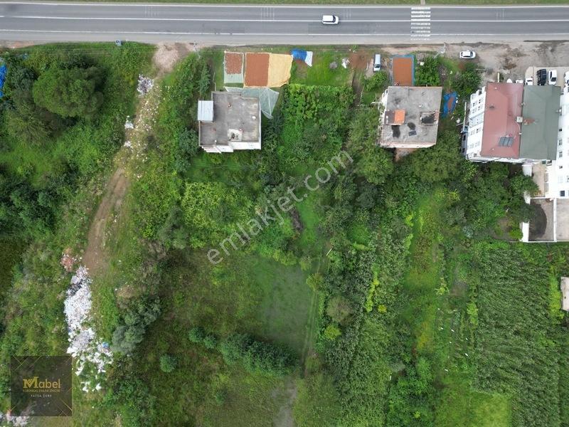 Ordu Fatsa Yenipazarda 3 Kat Konut İmarlı Villalık 460 M2 Arsa — fotoğraf 12