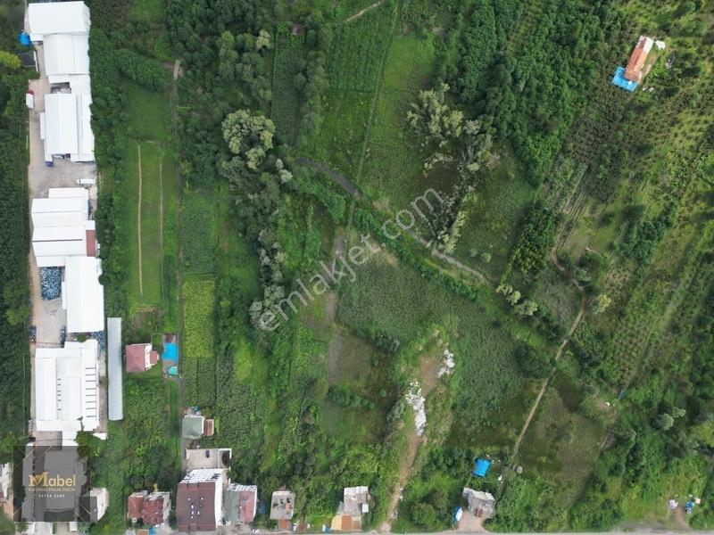 Ordu Fatsa Yenipazarda 3 Kat Konut İmarlı Villalık 460 M2 Arsa — fotoğraf 14