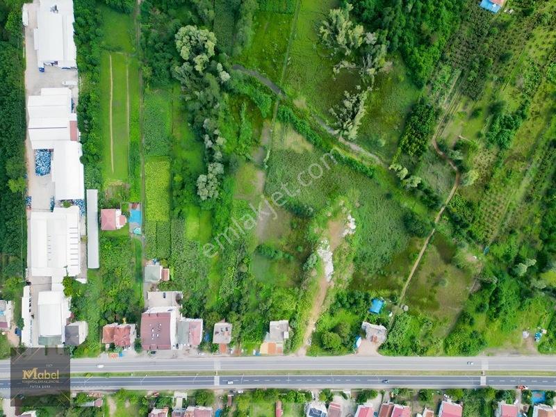 Ordu Fatsa Yenipazarda 3 Kat Konut İmarlı Villalık 460 M2 Arsa — fotoğraf 15