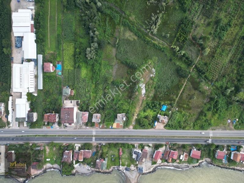 Ordu Fatsa Yenipazarda 3 Kat Konut İmarlı Villalık 460 M2 Arsa — fotoğraf 16