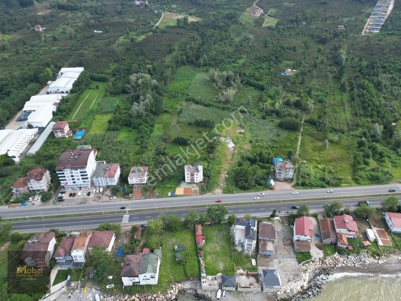 Ordu Fatsa Yenipazarda 3 Kat Konut İmarlı Villalık 460 M2 Arsa — fotoğraf 17