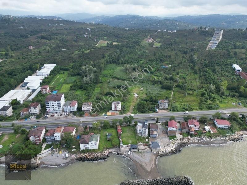 Ordu Fatsa Yenipazarda 3 Kat Konut İmarlı Villalık 460 M2 Arsa — fotoğraf 18