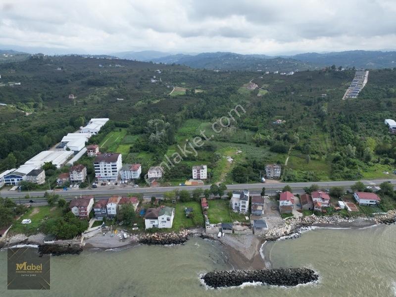 Ordu Fatsa Yenipazarda 3 Kat Konut İmarlı Villalık 460 M2 Arsa — fotoğraf 20